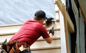 Professional Siding in Pahoa, HI